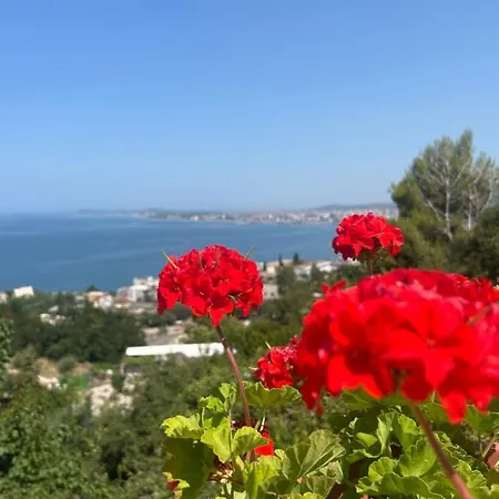 Sea View Apartment